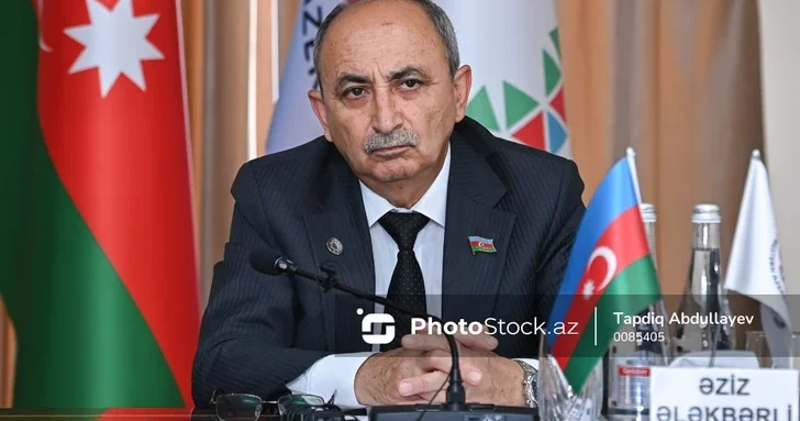 Азиз Алекберли: Идея возвращения в Западный Азербайджан продолжает наследие Гейдара Алиева