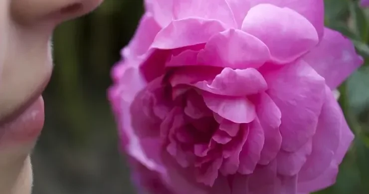 Ətirlərin insanlara təsiri qoxular nəyə qadirdir?