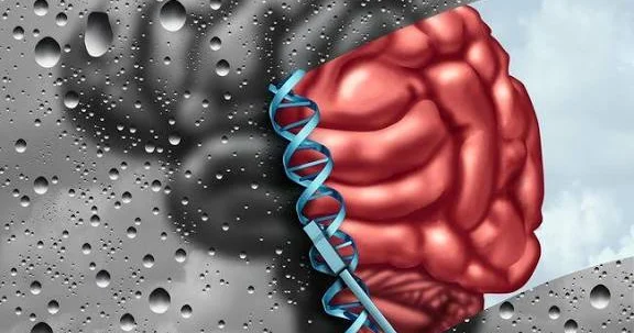 “Beynin və ruhun kövrək nöqtələri: zəiflik bizi necə dəyişir və gücləndirir?“ Psixoloq izah edir