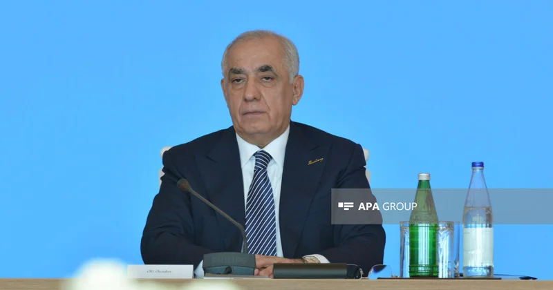 Əli Əsədov: Azərbaycan və Türkiyə arasında ticarət dövriyyəsi ölkələrimizin inkişaf templərinə cavab vermir