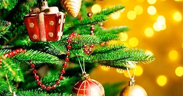 BILD: “Viaqra Milad ağacının ömrünü uzada bilər...”