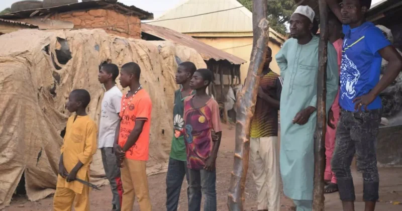 В Нигерии 130 школьников вернули из плена