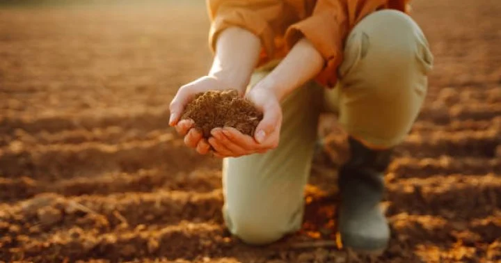 Kənd təsərrüfatına verilən vergi güzəştləri balıqçılığa da şamil ediləcək