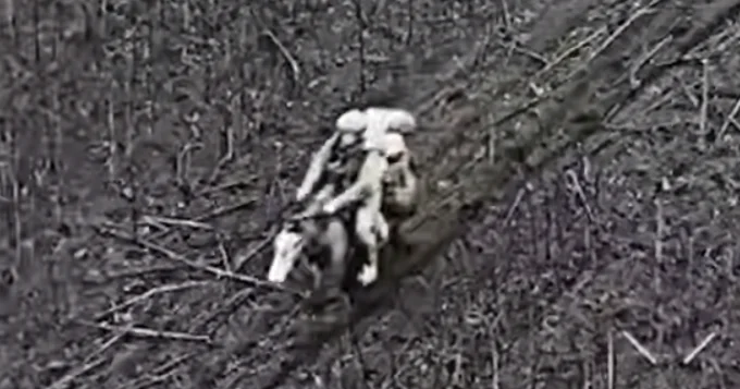 Украинские дроны поразили российских военных на лошадях Minval Politika