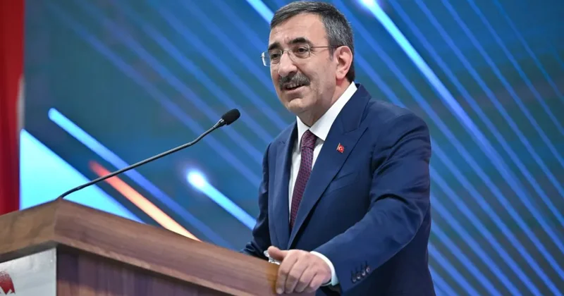 Йылмаз: Турецкий фонд образования намерен расширить свою деятельность в Гяндже и Нахчыване