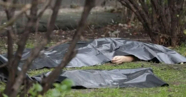 Qəbələ meşəsində FACİƏ: üstünə ağac aşan kişi ÖLDÜ