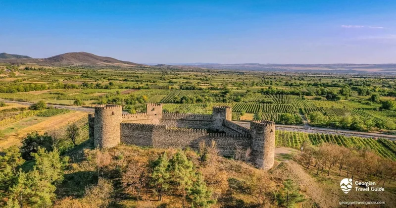 Kaxetiyada Naxçıvan qalası və gürcü şovinzmi