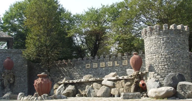 Qəbələdə 55 yaşlı kişi bədbəxt hadisə nəticəsində həyatını itirdi