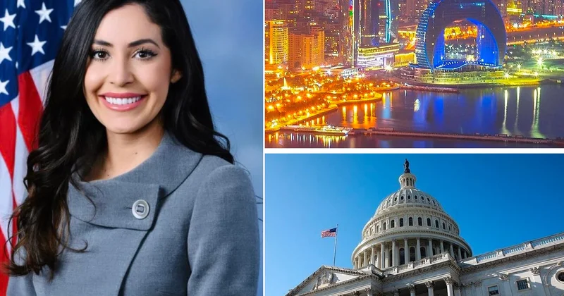 Нет политическому аппендиксу