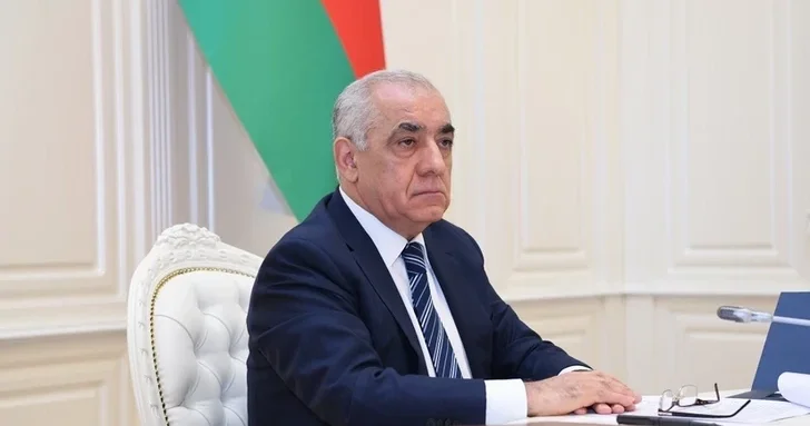 Азербайджан и Турция реализовали 78% пунктов совместного Плана действи Али Асадов