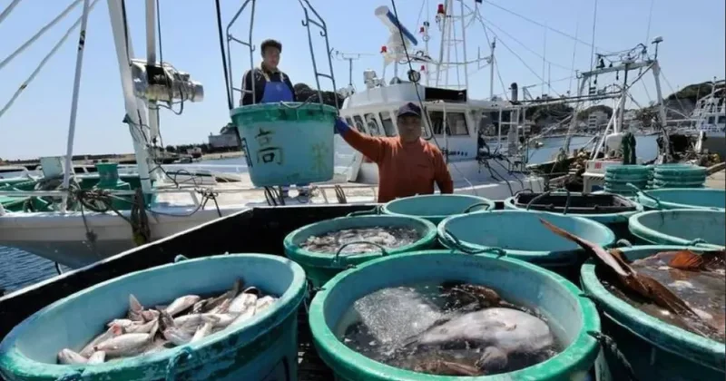 Импорт чилийской рыбы в Россию резко подскочил