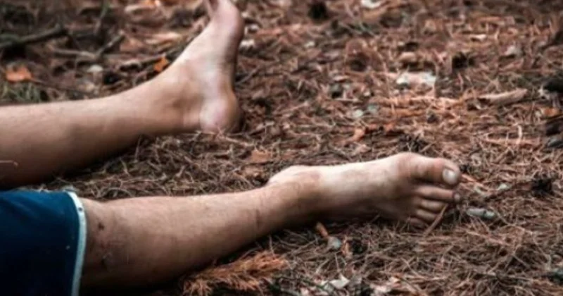 Qəbələdə meşədə üzərinə ağac düşdü Öldü