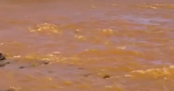 Реки на Аляске меняют цвет ВИДЕО