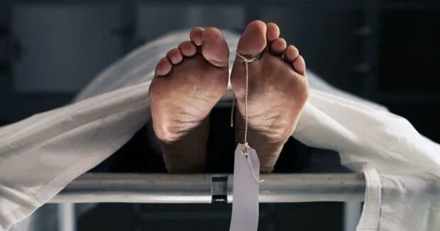 Meşədə ağac kəsən şəxs öldü KONKRET