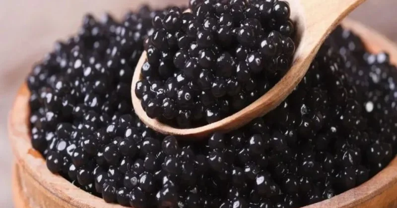 Balıqçılıqla bağlı vergi güzəşti kürü istehsalına aid olmayacaq