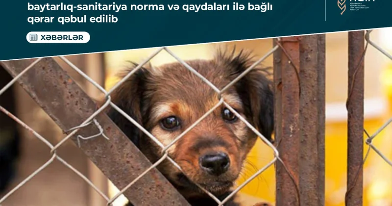 “Sahibsiz heyvan sığınacaqlarına dair baytarlıq sanitariya norma və qaydaları” təsdiq edilib