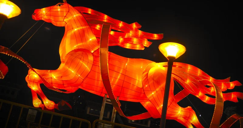 Ученые поделились необычными фактами о лошади символе 2026 года