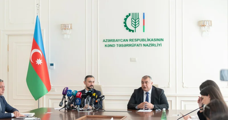 Под знаком возрождения