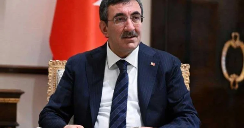 Vitse prezident: Türkiyə Azərbaycan kimi uğurlu COP keçirmək istəyir