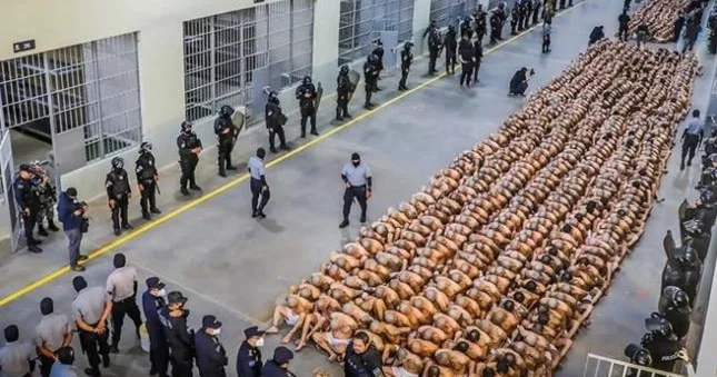 Cinayətkar dəstə üzvünə 1335 il həbs cəzası verildi