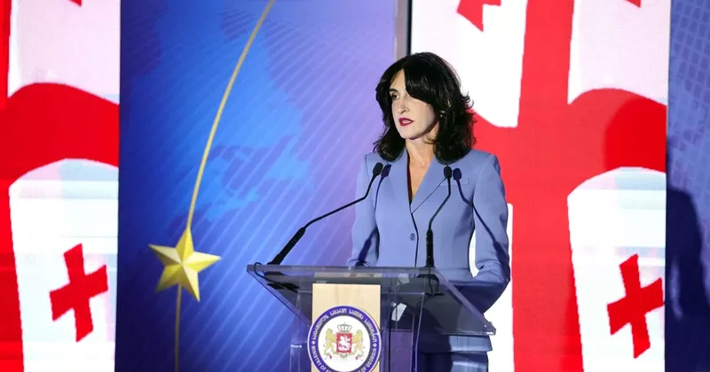 Бочоришвили о целях ежегодной конференции послов Грузии