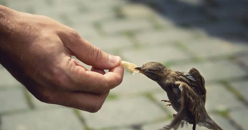 Xeyirxahlığın bumeranq kimi geri döndüyünə dair dəlillər tapıblar...