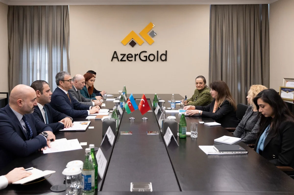 AzerGold намерен реализовать горнодобывающие проекты в Африке