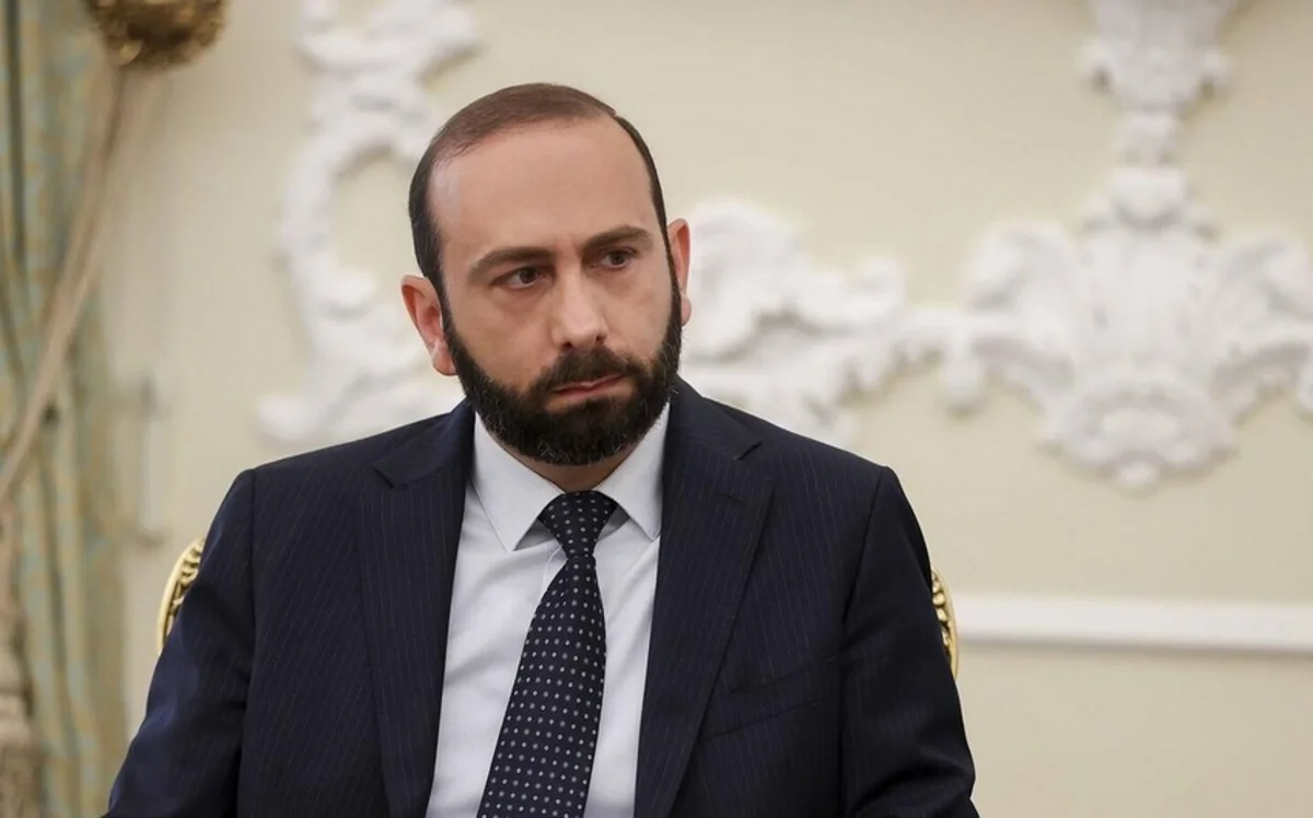 Mirzoyan: “Ermənistanın sərhəddini Sakit okeandan başlayıb Atlantik okeanda bitirərəm”