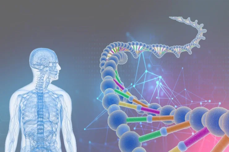 Genlərdən Kodlara: DNA proqramlamanın gələcəyi