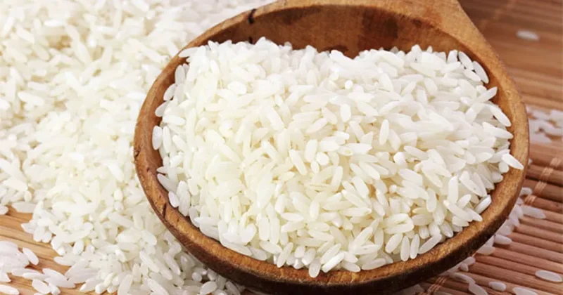 Кто основной импортер узбекского риса?