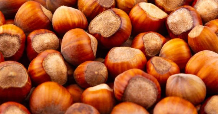 Azərbaycanın xaricə fındıq satışından gəliri artıb 171 MİLYON DOLLARA YAXIN QAZANC