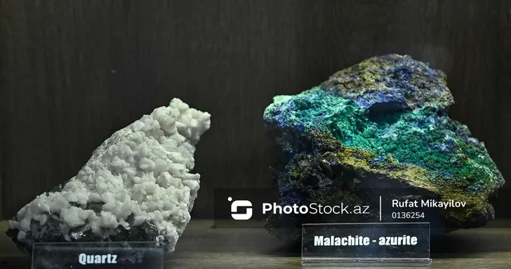 Музей полезных ископаемых БГУ: история, коллекции и обновленные экспозиции