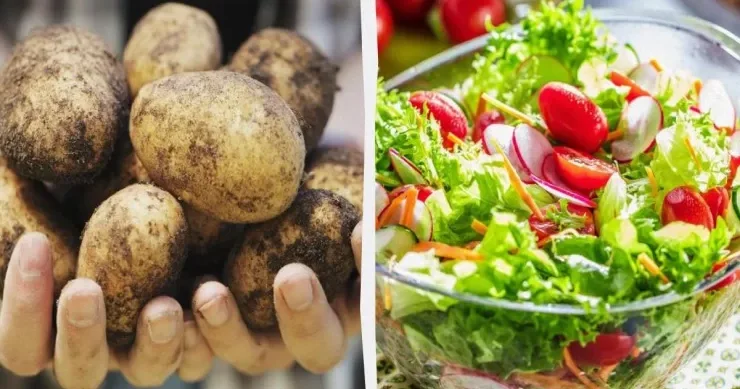 Dondurucunuzda saxlanmamalı olan 9 məhsul