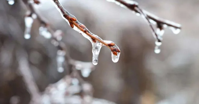 Fevral sərt keçəcək XƏBƏRDARLIQ