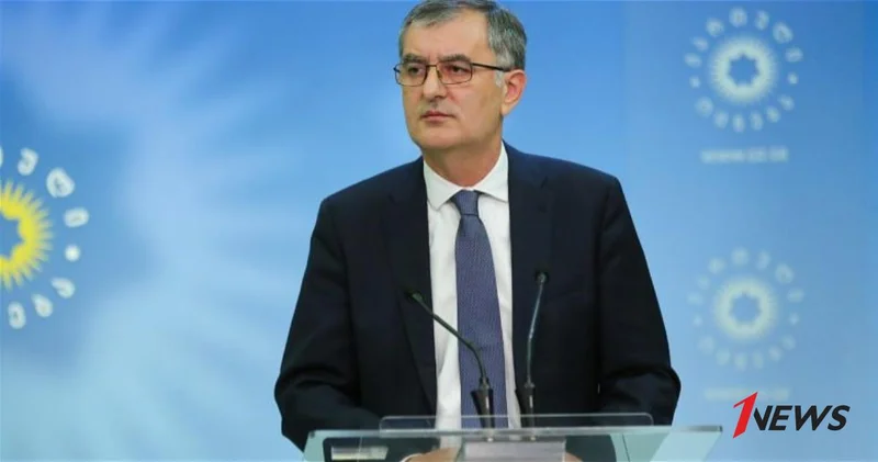 Вице спикер парламента Грузии: Кавказ формируется как единое экономическое пространство