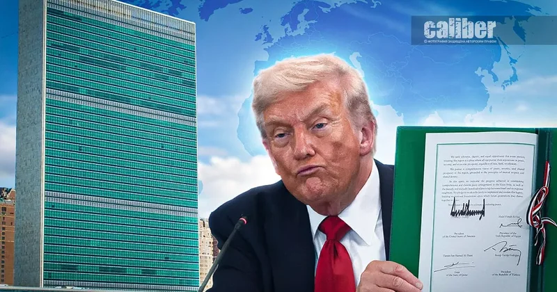 Совет мира ответ Трампа на дефицит стабильности в мире Мнения экспертов на