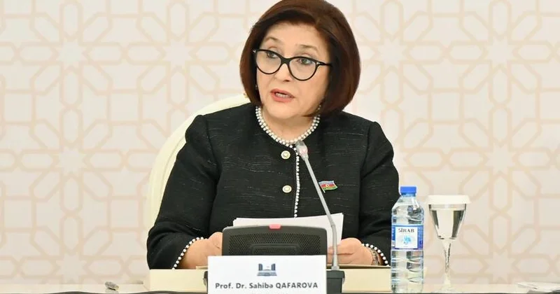 Существуют хорошие возможности для расширения сотрудничества с Испанией и охвата новых направлений Сахиба Гафарова