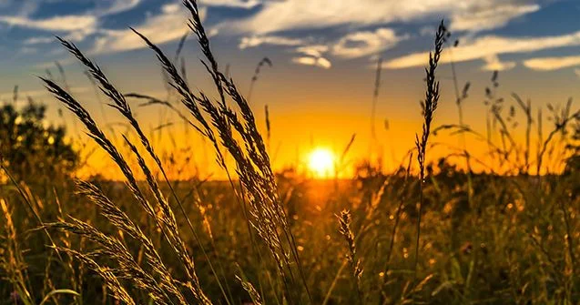 Hava dəyişir PROQNOZ