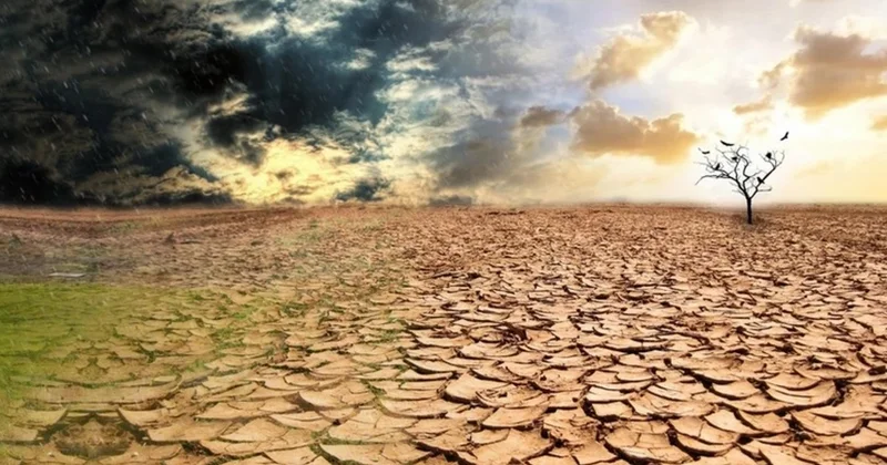 Azərbaycanda quraqlığın təbii fəlakətlər siyahısına salınması təklif olunur