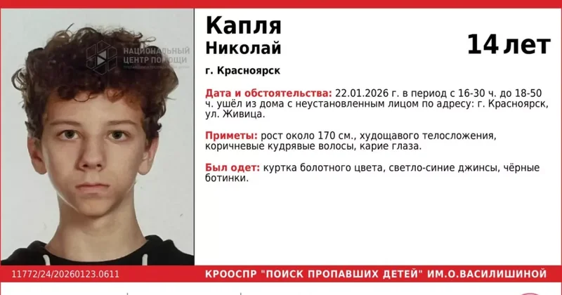 Выкуп в 30 миллионов: в России украли подростка Видео