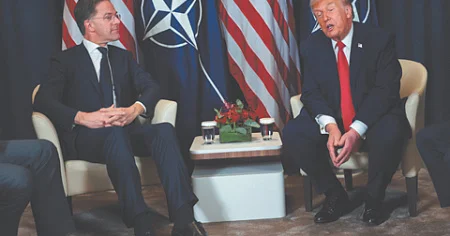 Buz parçası üzərində razılıq RAKURS