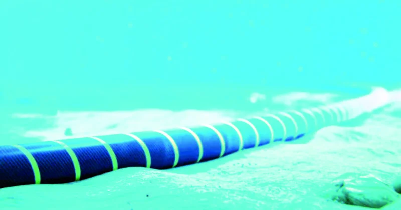 Sualtı “yaşıl dəhliz” tezliklə gerçəkləşəcək