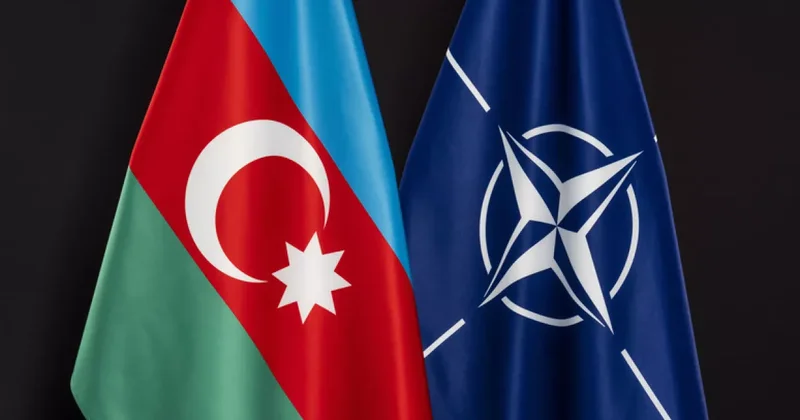 НАТО подтверждает готовность углублять партнёрство с Азербайджаном По итогам визита Шекеринской