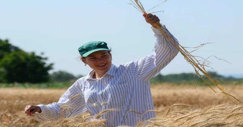 Шанс проявить себя и показать потенциал