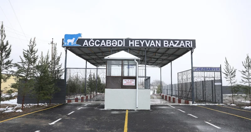 Ağcabədi heyvan bazarı da açıldı FOTO/VİDEO
