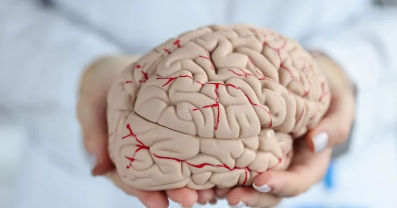 Ağır insultlar günün hansı saatında baş verir?