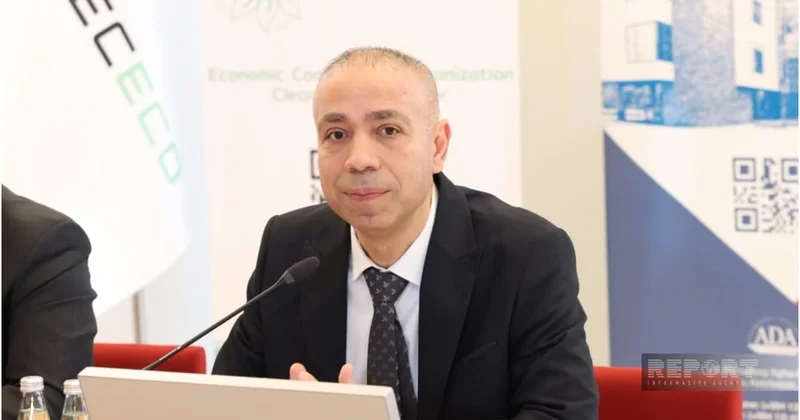 Замминистра: Треть потребляемого в Азербайджане газа расходуется на производство электроэнергии