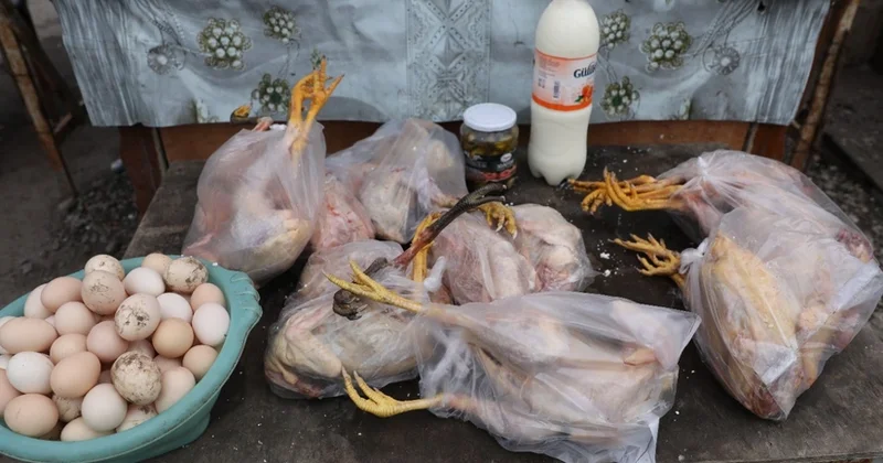 Ötən il Naxçıvanda 127 qida obyektində yoxlama aparılıb