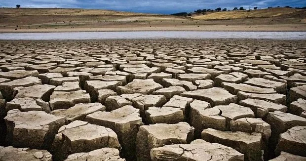 Засуха может официально быть признана стихийным бедствием в Азербайджане