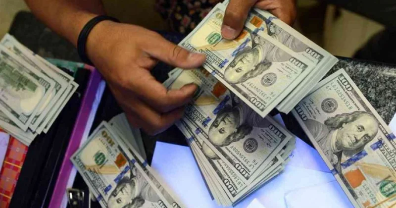 Ötən il xaricdən pul köçürmələri Misirin ən böyük valyuta mənbəyinə çevrilib